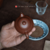 Hong Pi Long Wen Dan Yixing Teapot