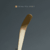 Bamboo Gongfu Tea Accessory Set