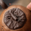 Zini Ru Shi Persimmon Yixing Teapot