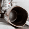 Carp Mug