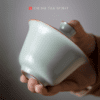 spring night Gaiwan