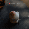 Yixing Clay Tea Pet