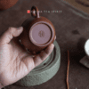 Hong Pi Long Ju Lun Zhu Yixing Teapot
