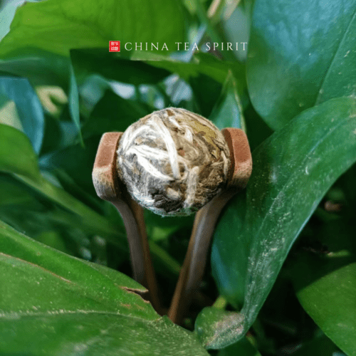 Bai Mudan White Peony