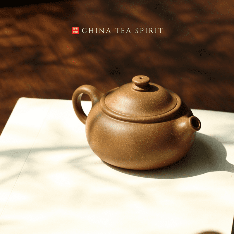 Jiang Po Ni Xi Hu Yixing Teapot (5)