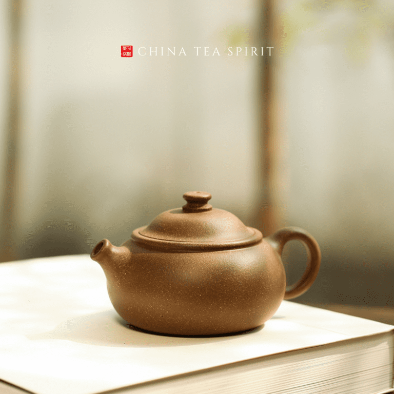 Jiang Po Ni Xi Hu Yixing Teapot (5)