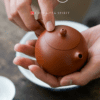 Zhuni Xi Shi Yixing Teapot (1)