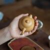 Handmade Duanni Mini Wen Dan 100ml Yixing Teapot