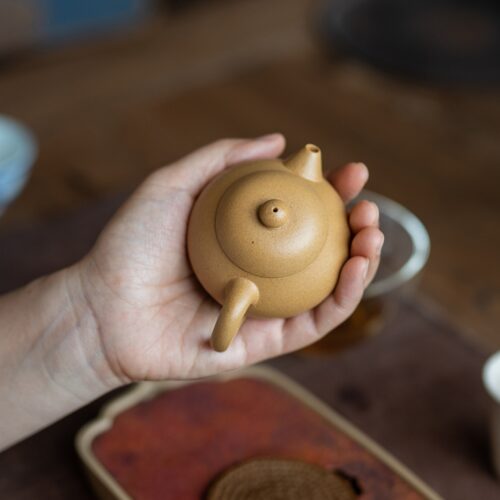 Handmade Duanni Mini Wen Dan 100ml Yixing Teapot
