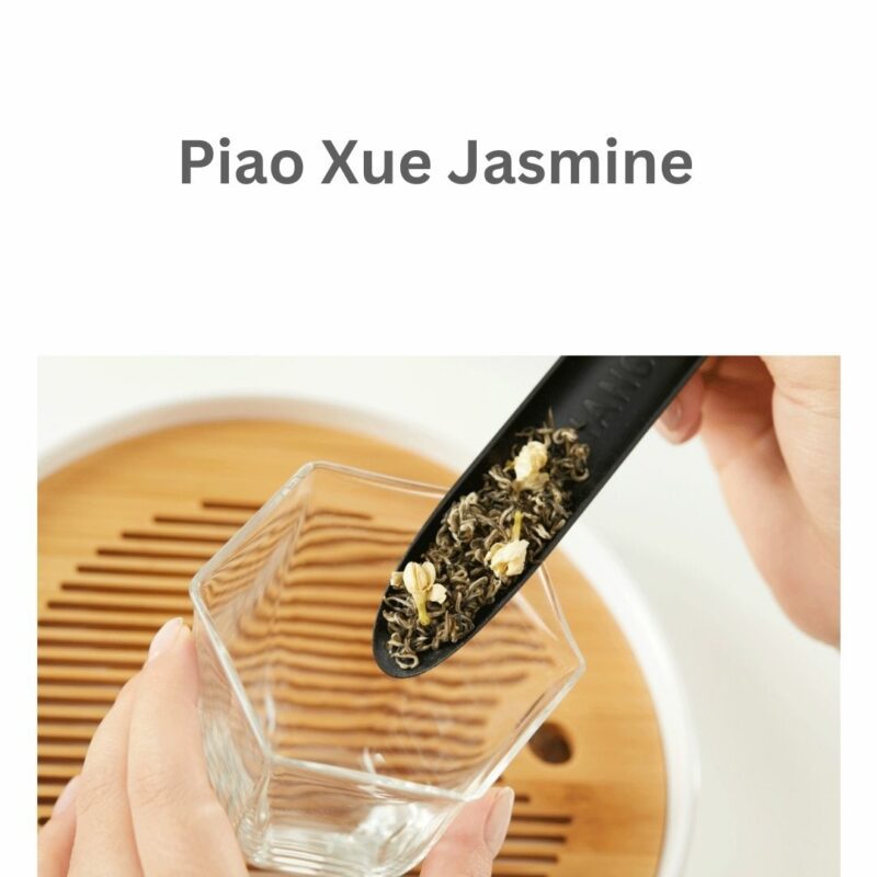 Authentic Fu Zhou Jasmine Tea Piao Xue Jasmine Strong Fragrance