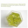Long Jing - Dragonwell Pre Qing Ming Green Tea