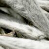 Silver Needle Premium Fu Ding Chinese White Tea