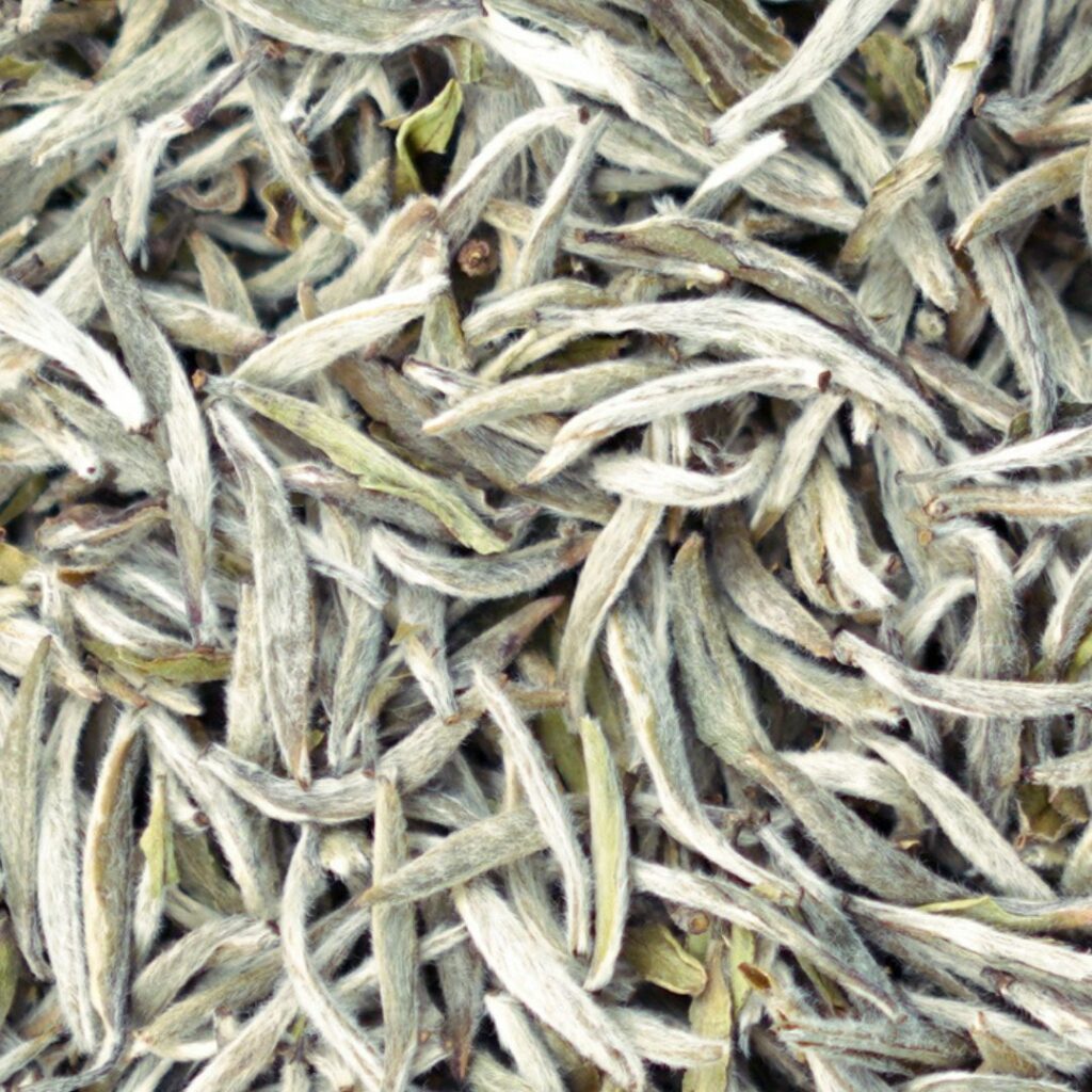 Silver Needle Premium Fu Ding Chinese White Tea