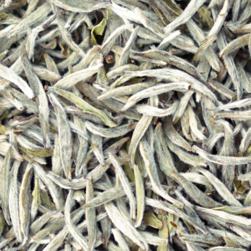 Silver Needle Premium Fu Ding Chinese White Tea