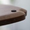 Simple Chic Walnut Wood Kung Fu Tea Tray