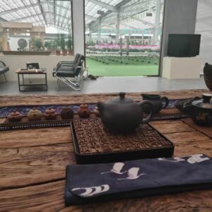 Creative Ceramic Fingertip Mini Yixing Teapot Tea Pet
