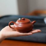 Zhuni Shi Yuan 145ml Yixing Teapot