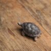 Creative Zisha Yixing Clay Little Turtle Tea Pet
