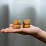 Cute Mini Angry Chicken Tea Pet