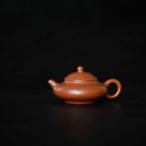 Zhuni Mini Pan Hu 70ml Yixing Teapot