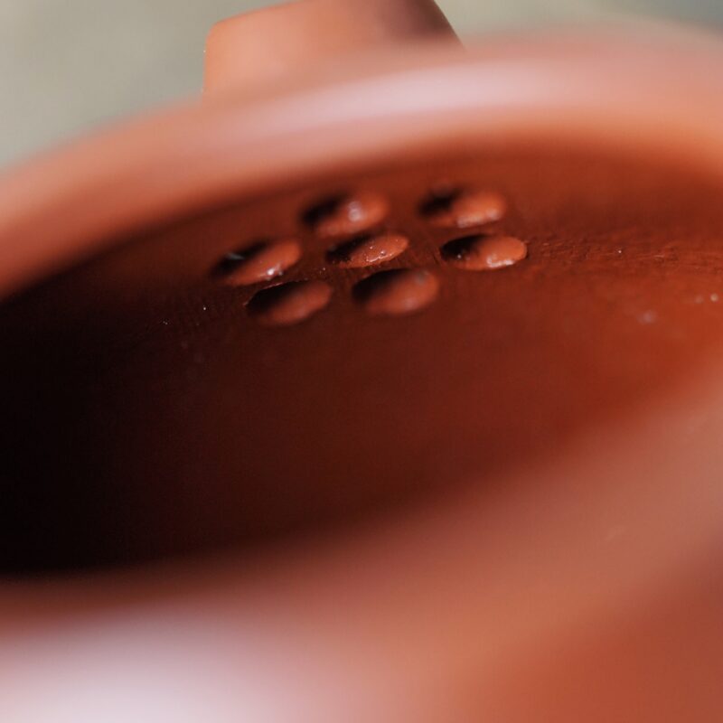 Zhuni Mini Wen Dan 100ml Yixing Teapot