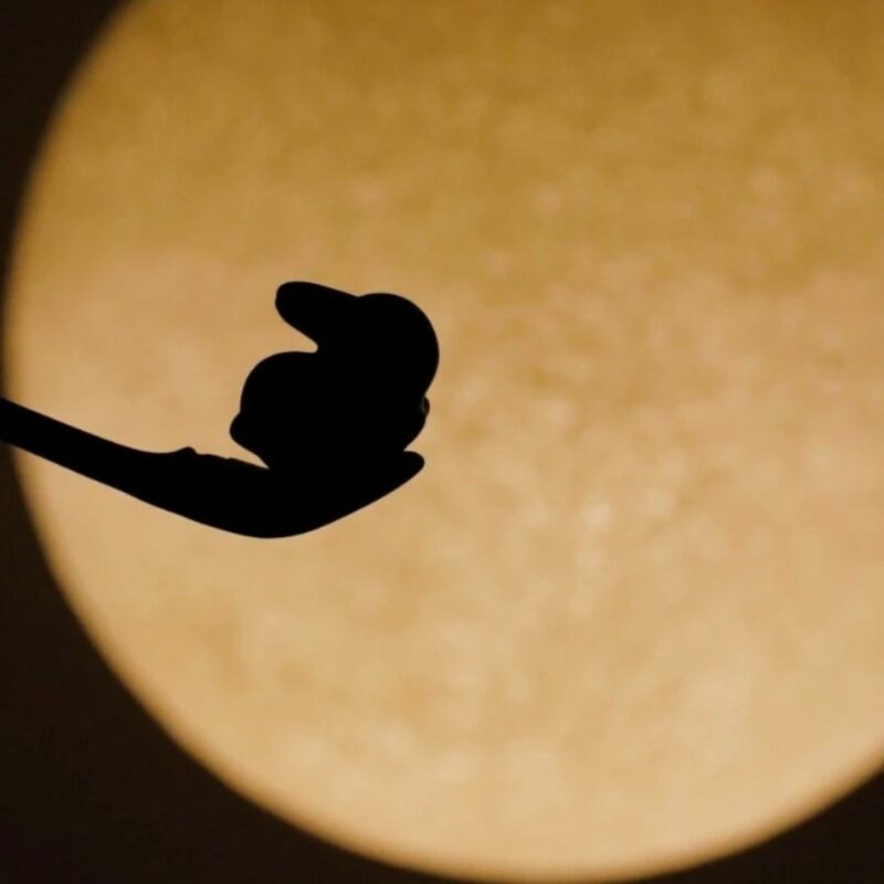 9 Yixing Clay Running Bunny Tea Pet