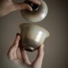 448-2 Kiln Transmutation Ceramic 135ml Gaiwan