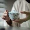 460-10 Hand painted Ceramic Pine 130ml Gaiwan