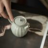 5 Grey Glaze Japanese Style Ceramic 150ml Teapot