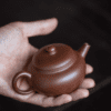 Aged Zini Yuan Gu 100ml Yixing Teapot
