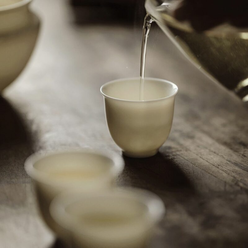 Elegant Jade White Porcelain 100ml Gaiwan