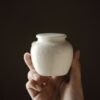 Elegant Jade White Porcelain 100ml Gaiwan