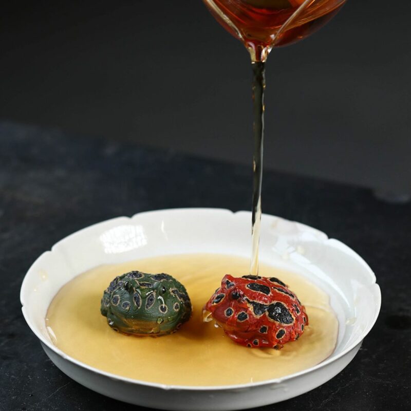 Handmade Zisha Yixing Clay Horned Frog Tea Pet (9) Handmade Zisha Yixing Clay Horned Frog Tea Pet