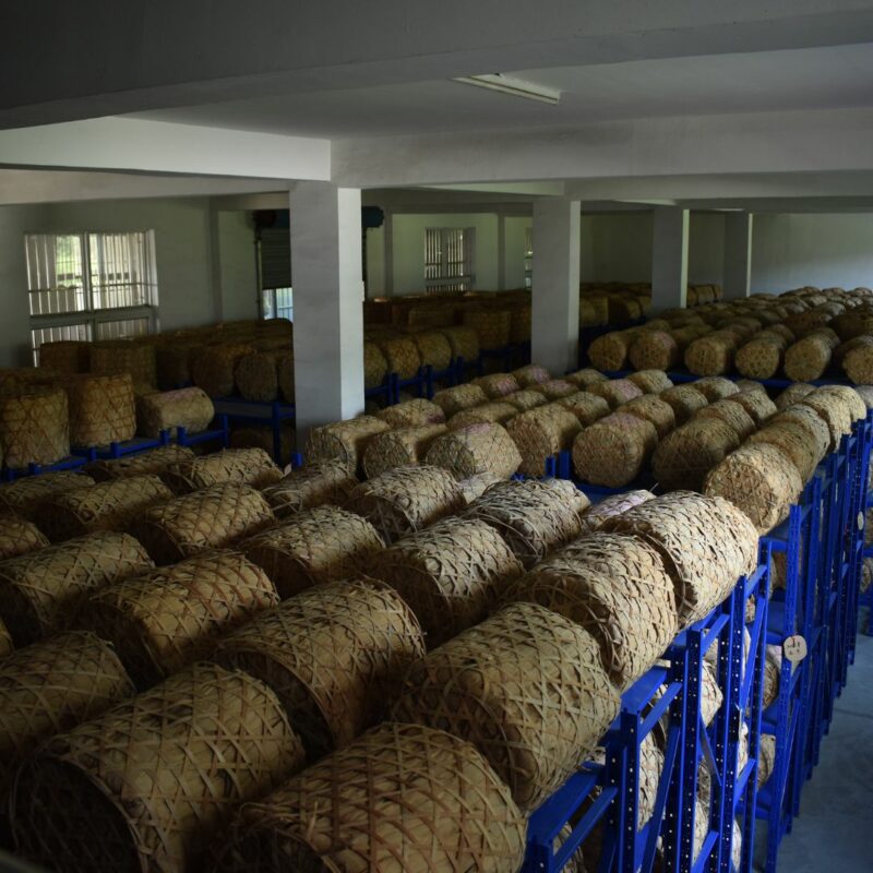 An Cha - Wang Sheng Ping Qimen An Cha Liu An Cha