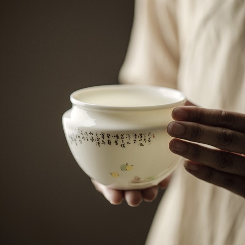 Hand painted White Porcelain 11 Piece Gong Fu Tea Set