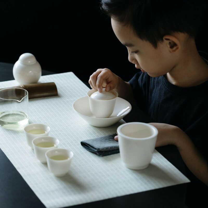 594-3 Elegant White Porcelain 12 Piece Gong Fu Tea Set