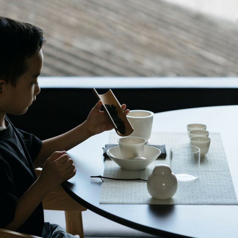 594-4 Elegant White Porcelain 12 Piece Gong Fu Tea Set