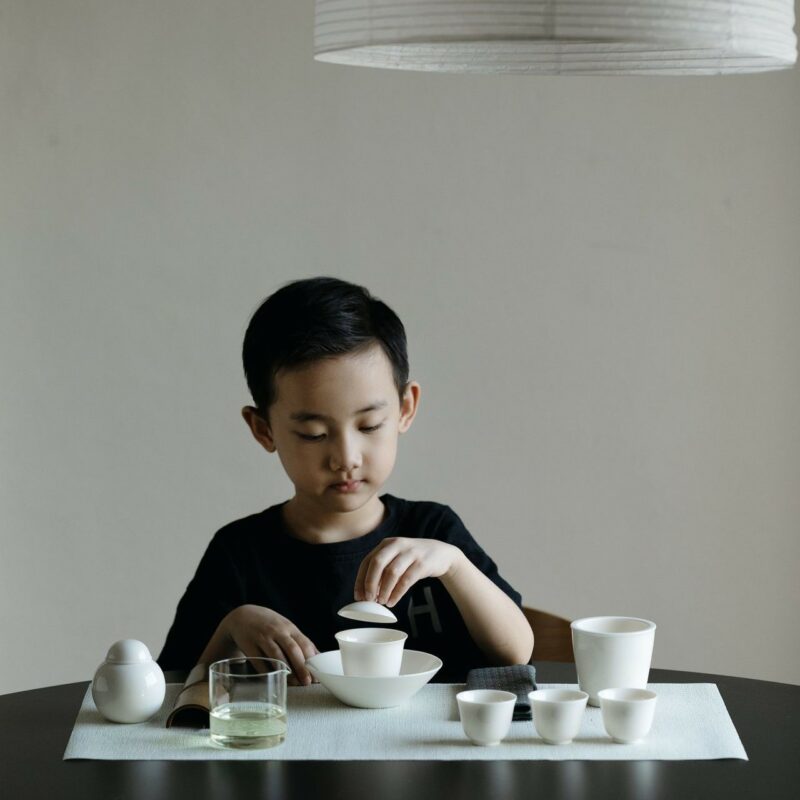 594-6 Elegant White Porcelain 12 Piece Gong Fu Tea Set