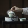 Emerald Green Ceramic Swallows and Willows 125ml Gaiwan