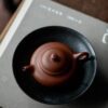 Aged Zhuni Short Pan Hu 90ml Yixing Teapot
