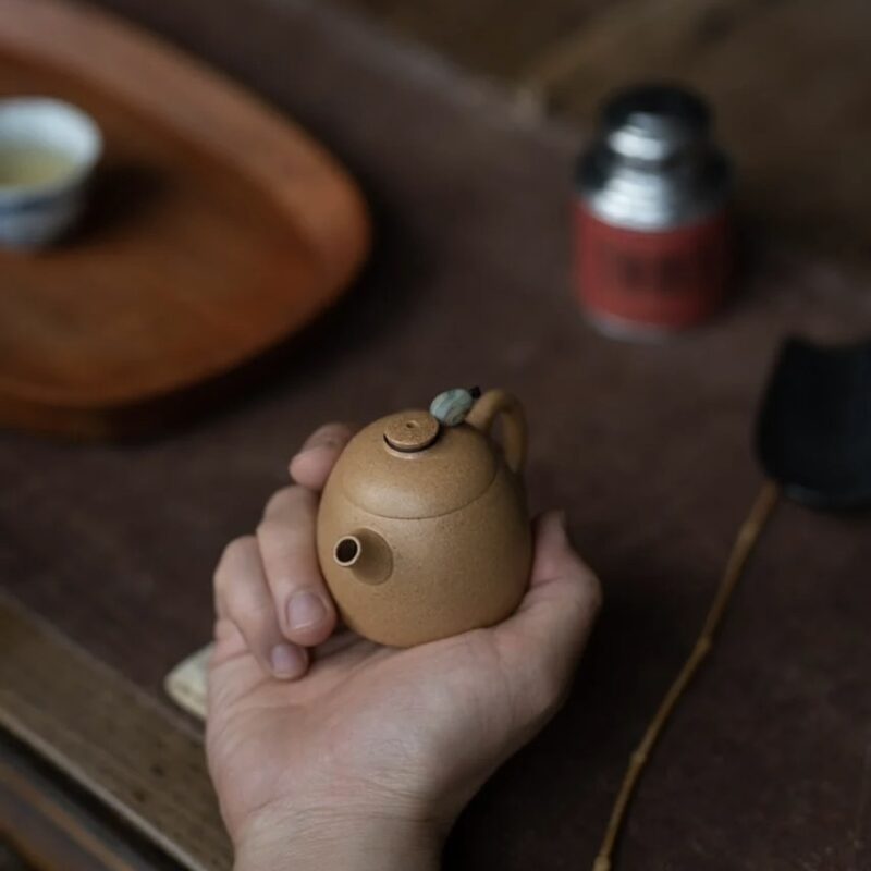 Duanni Fei Hong Qin Quan 90ml Yixing Teapot