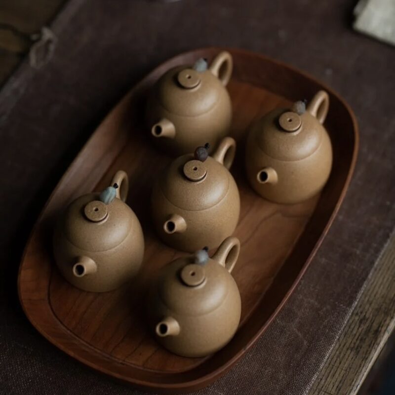 Duanni Fei Hong Qin Quan 90ml Yixing Teapot