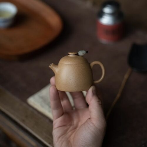 Half-Handmade-Duanni-Fei-Hong-Qin-Quan-90ml-Yixing-Teapot-4 Duanni Fei Hong Qin Quan 90ml Yixing Teapot
