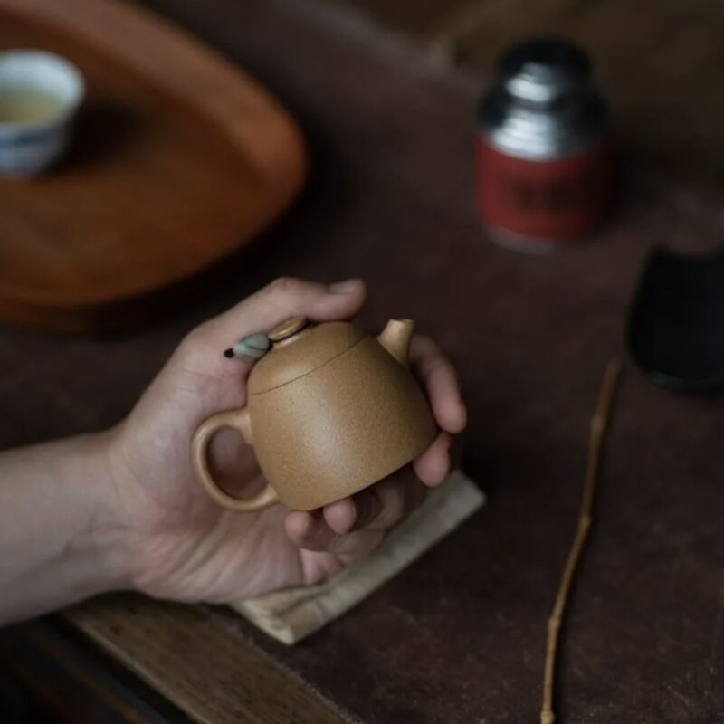 Duanni Fei Hong Qin Quan 90ml Yixing Teapot