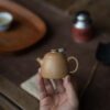 Duanni Fei Hong Qin Quan 90ml Yixing Teapot