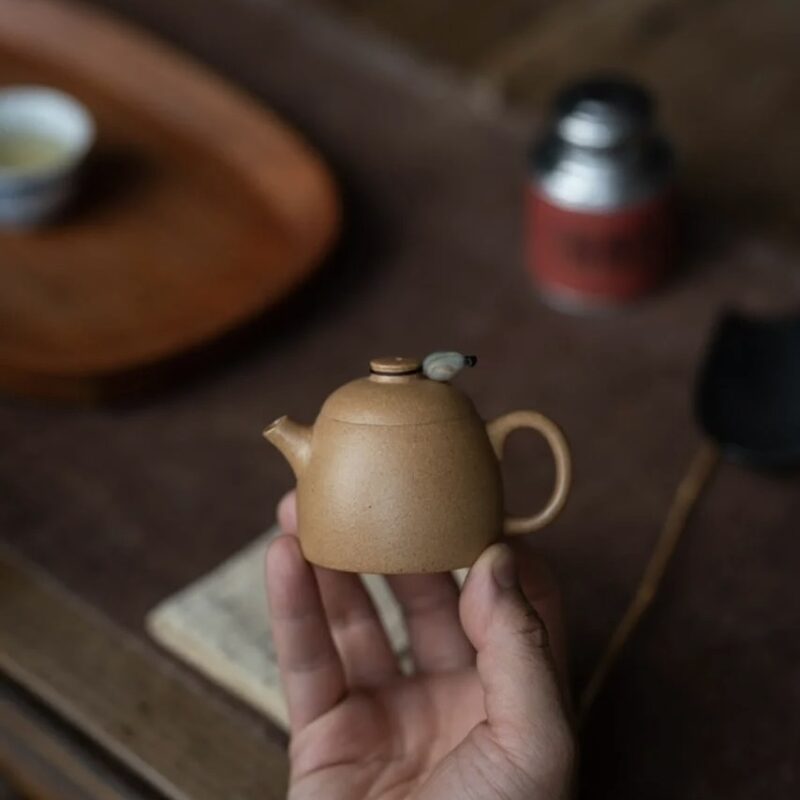 Duanni Fei Hong Qin Quan 90ml Yixing Teapot