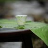 Hand-painted-Ceramic-Bamboo-Serenity-40ml-Tea-Cup-1 Hand-painted Ceramic Bamboo Serenity 40ml Tea Cup