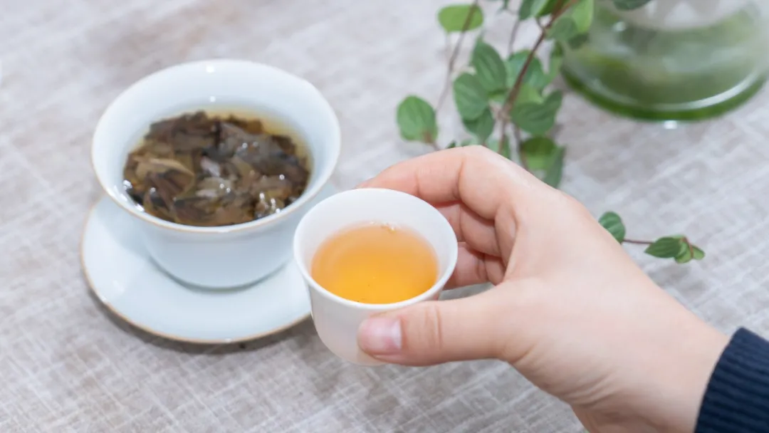 Does More Steeps Mean Better Tea? Uncovering the Truth Behind Tea’s ...