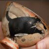 24 Soda Fired Gradient Glaze Ceramic Kitten 160ml FairCup GongDao Bei