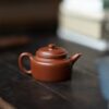 Zhuni Jian Liu De Zhong 100ml Yixing Teapot